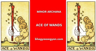 Ace of Wands Card Meaning - Minor Archana (Tarot Cards)