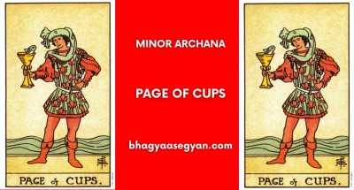 Page of Cups Card Meaning - Minor Archana (Tarot Cards)