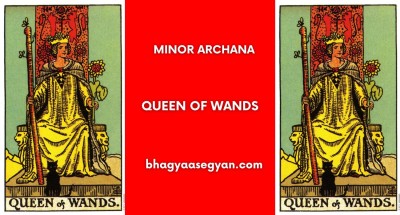 Queen of Wands Card Meaning - Minor Archana (Tarot Cards)